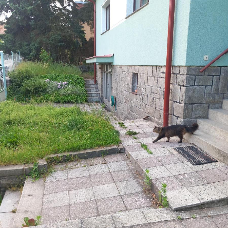 Apartment In The City Of Pilsen Bozkov المظهر الخارجي الصورة