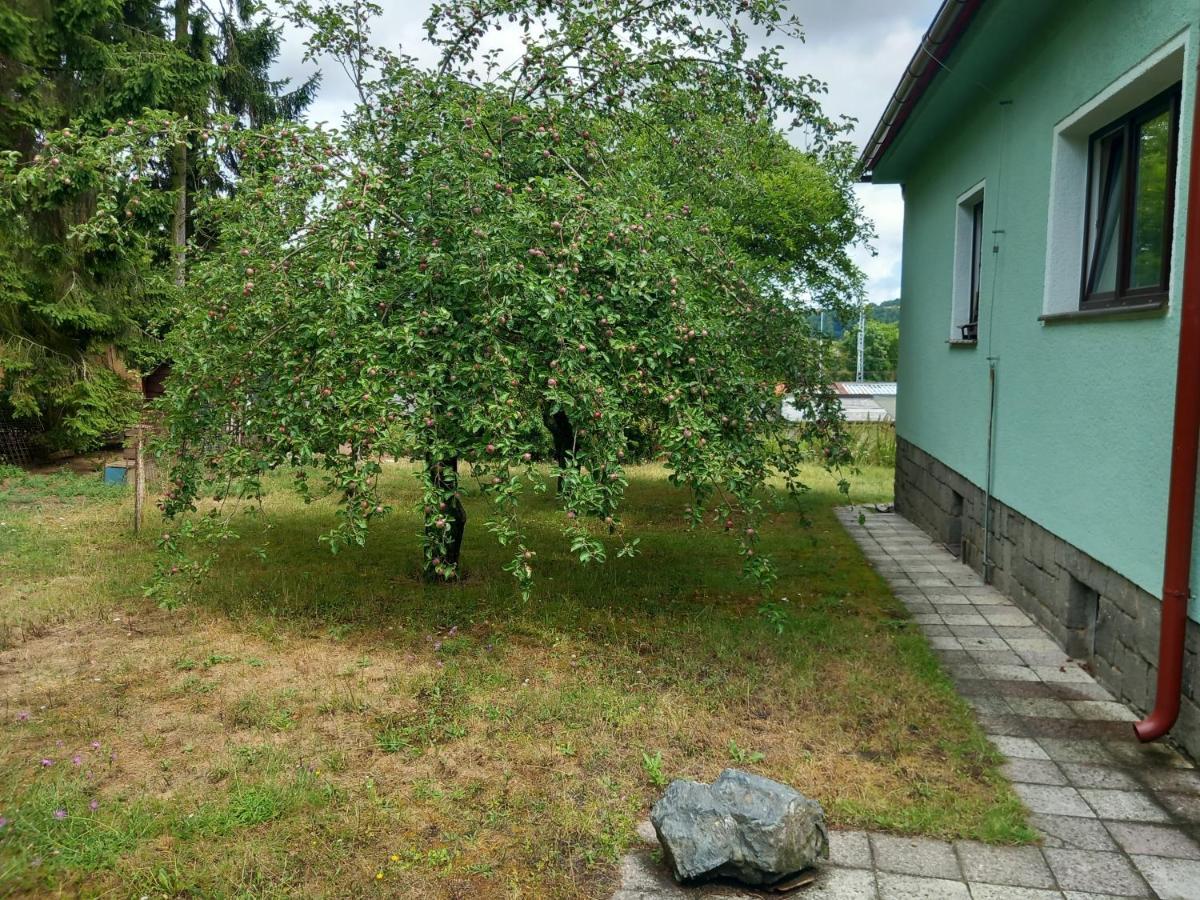 Apartment In The City Of Pilsen Bozkov المظهر الخارجي الصورة