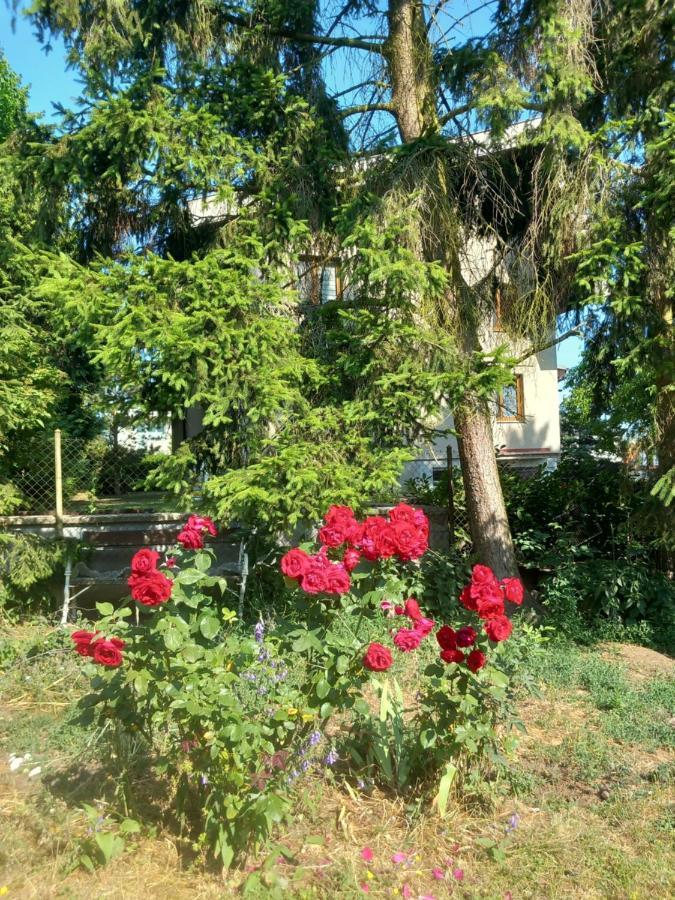 Apartment In The City Of Pilsen Bozkov المظهر الخارجي الصورة